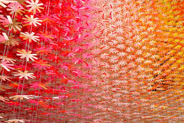 emmanuelle moureaux tokyo paper flowers