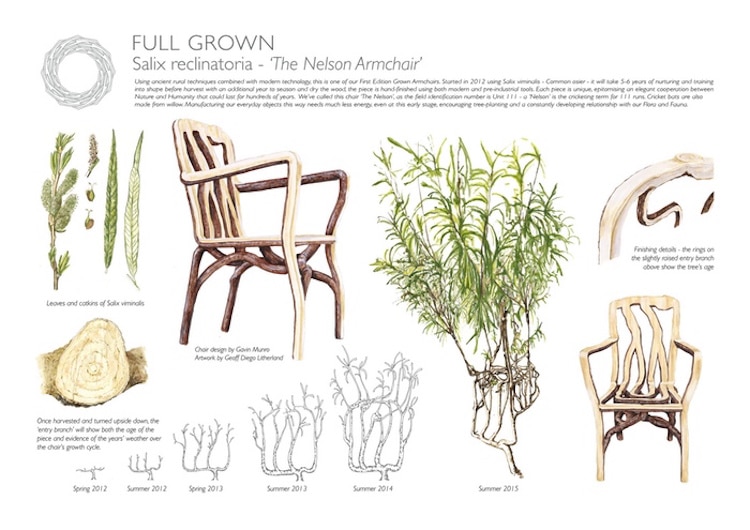 full grown gavin munro tree furniture