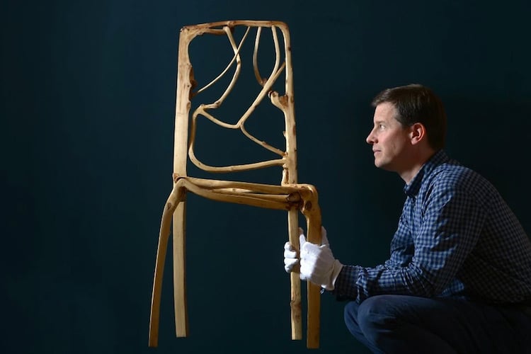 full grown gavin munro tree furniture