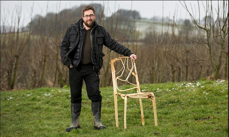 full grown gavin munro tree furniture