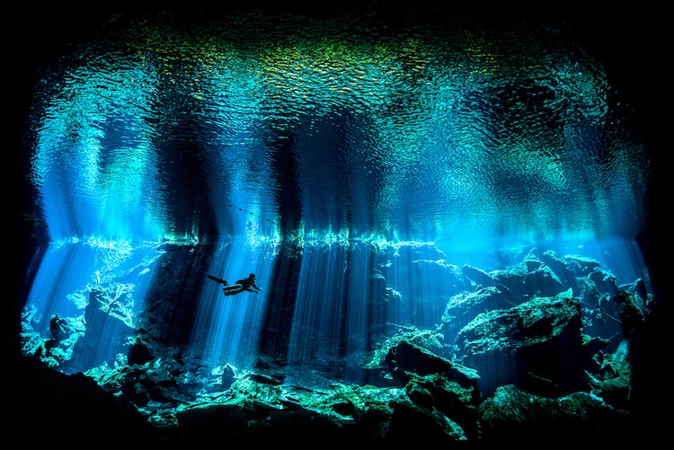 underwater photography competition