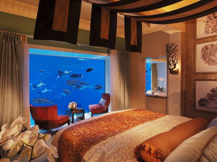 9 underwater hotels that will let you sleep with the fishes