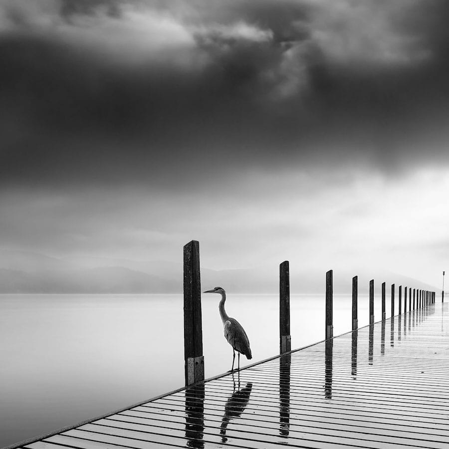 George Digalakis Surreal Nature Photography black and white minimalism landscape