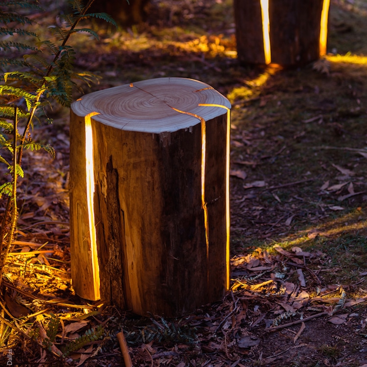 Nature-Inspired Furniture That Creatively Captures Earth's Beauty
