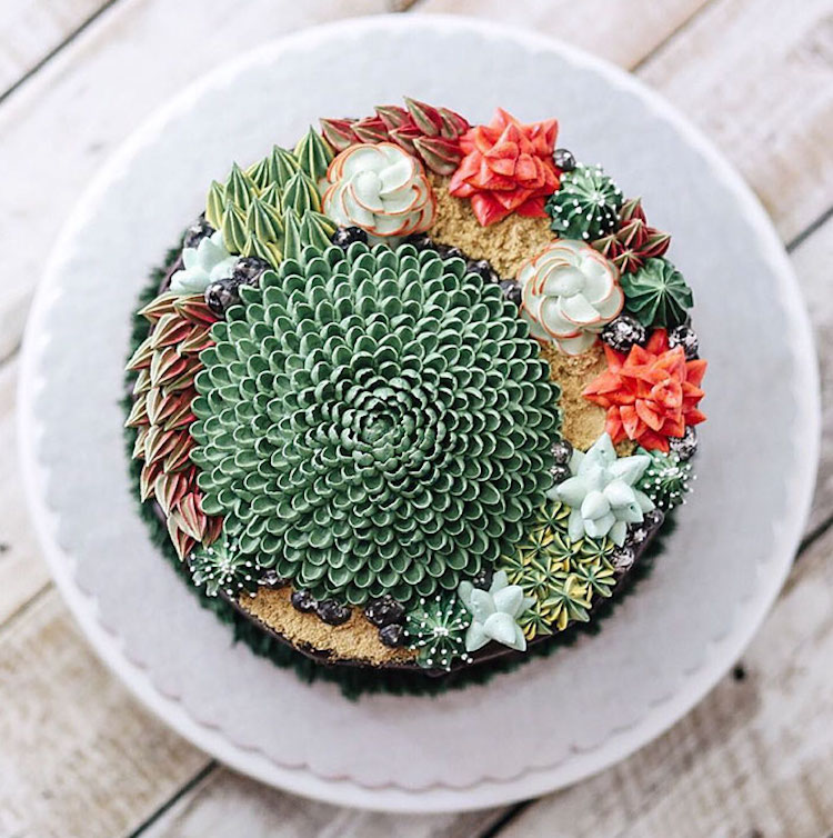 ivenoven succulent cakes cactus flowers terrarium cakes succulent cake nature dessert buttercream frosting