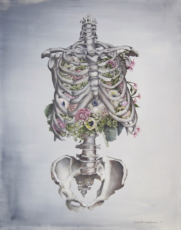 Floral Anatomy Illustrations By Trisha Thompson Adams