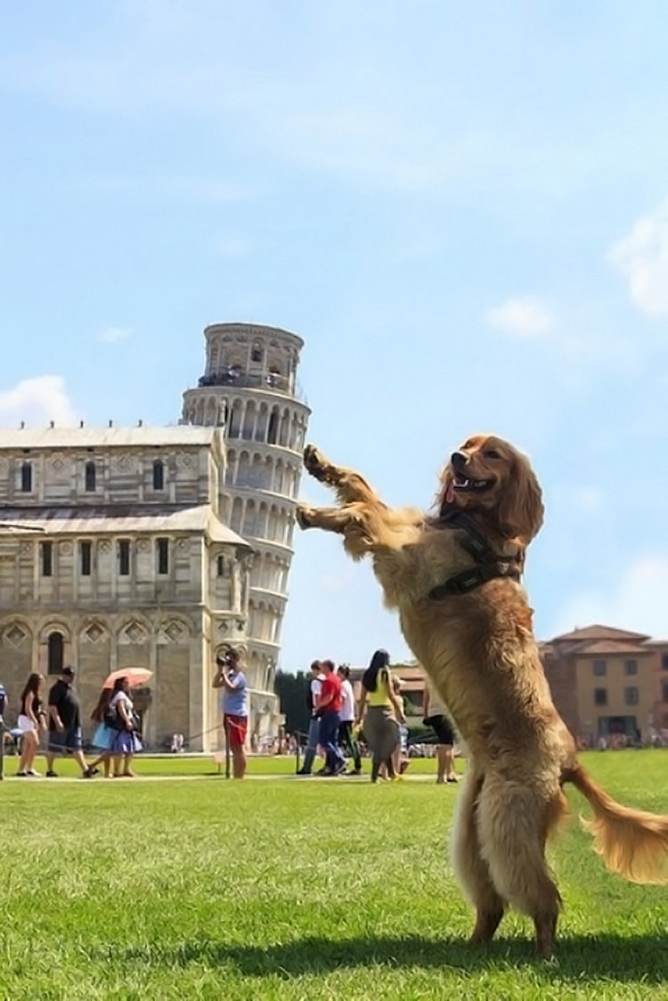 Creative Leaning Tower of Pisa Pictures
