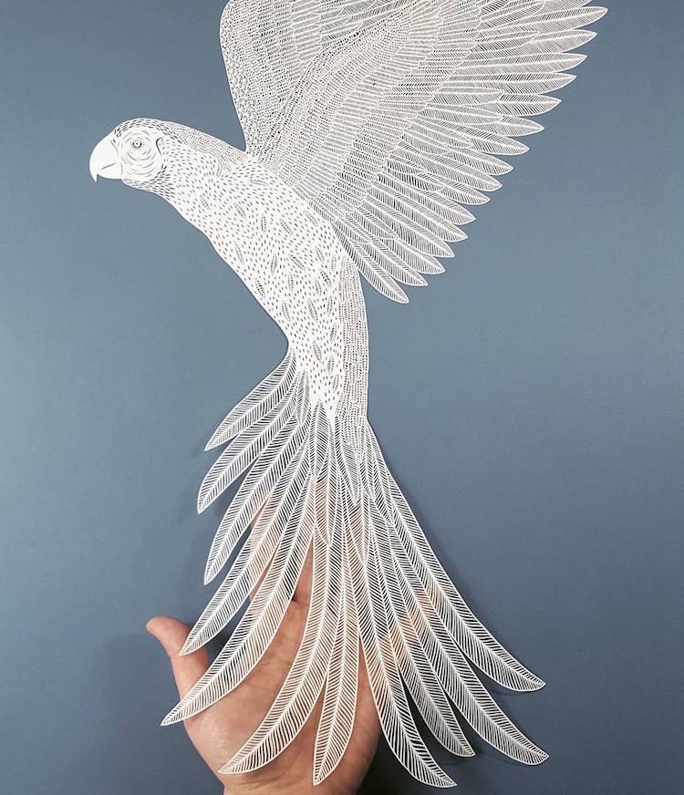 Paper Artist Selection Showcases the Best in Contemporary Paper Cutting