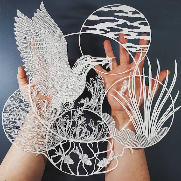 Cut Out Series Captures Intricate Details Possible With