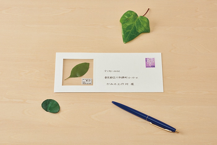 Unique Stationary Send Plants by Mail Haruka Shinji