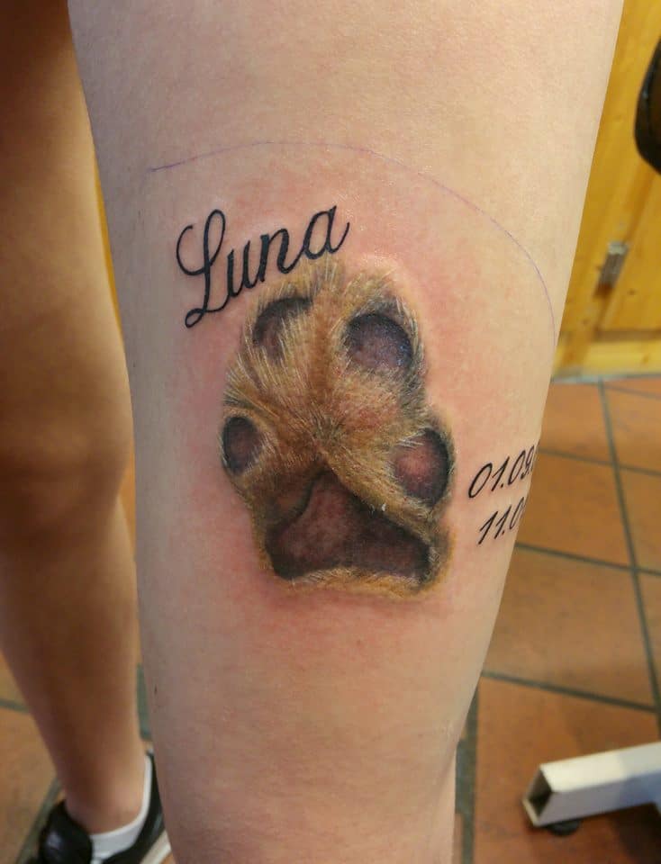 Animal Tattoos 