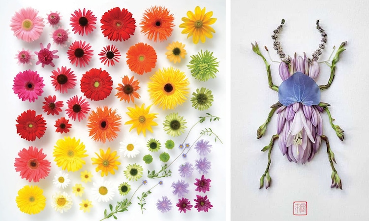 raku inoue crafts iconic fashion brand patterns from bright flower  arrangements
