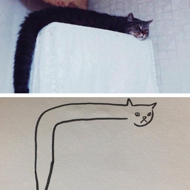minimalist-cat-art-subreddit-17.jpg