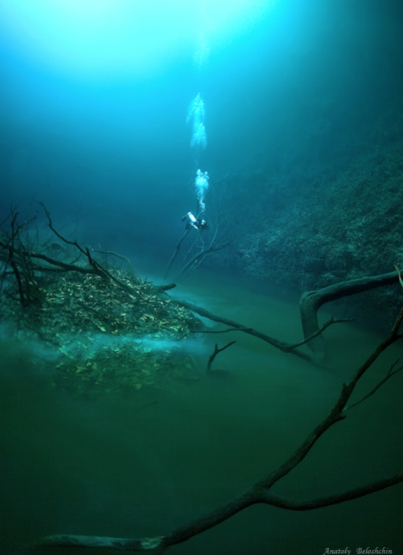 cenote angelita underwater river mexico nature underwater photography
