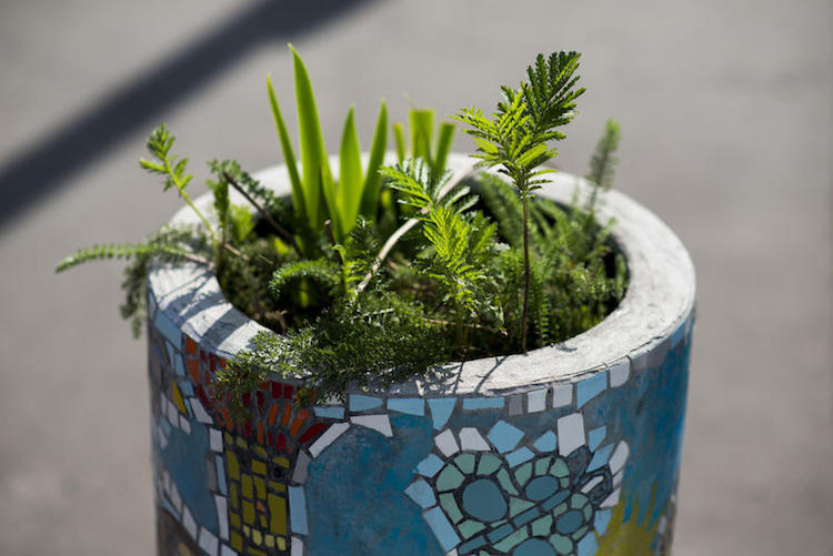 Creative Traditional Potted Plants In Paris