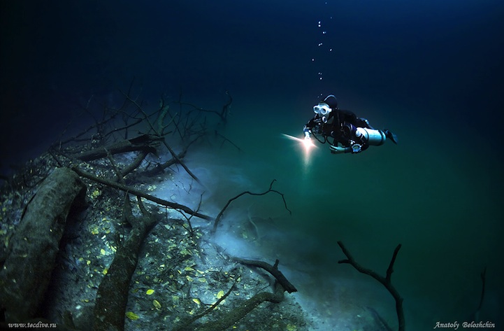 cenote angelita underwater river mexico nature underwater photography