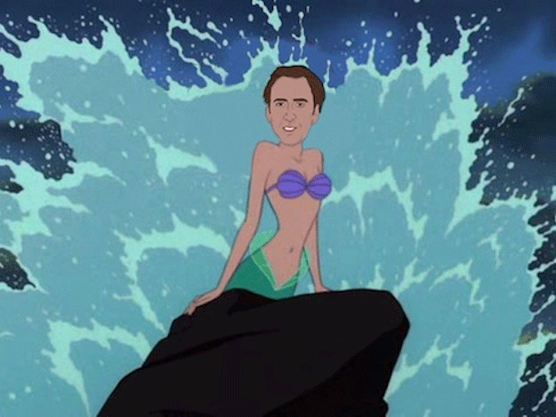 Image result for funny nic cage gif