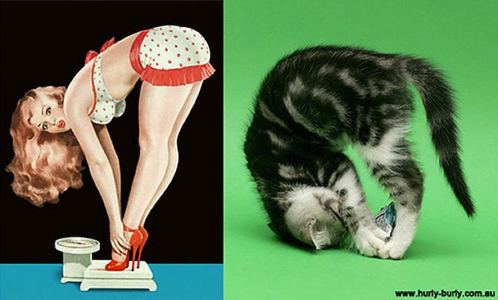 Cats That Pose Like Pin Up Girls From The 1940s And 1950s