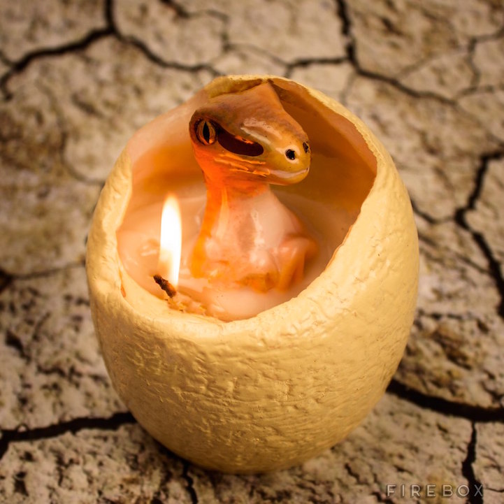 dinosaur candle