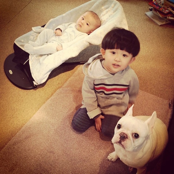 Adorable Japanese Boy And His French Bulldog Welcome A Baby Brother