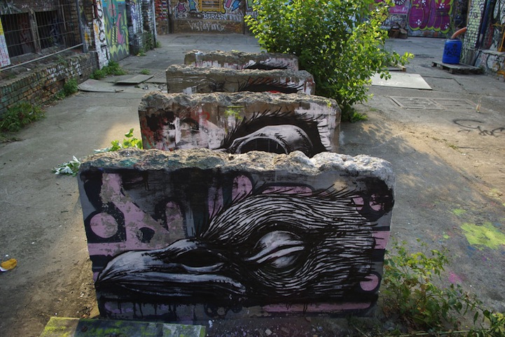 xray street art roa