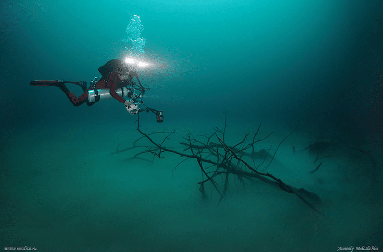 Underwater River Cenote Angelita Anatoly Beloshchin 