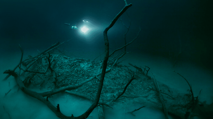 Underwater River Cenote Angelita Anatoly Beloshchin 