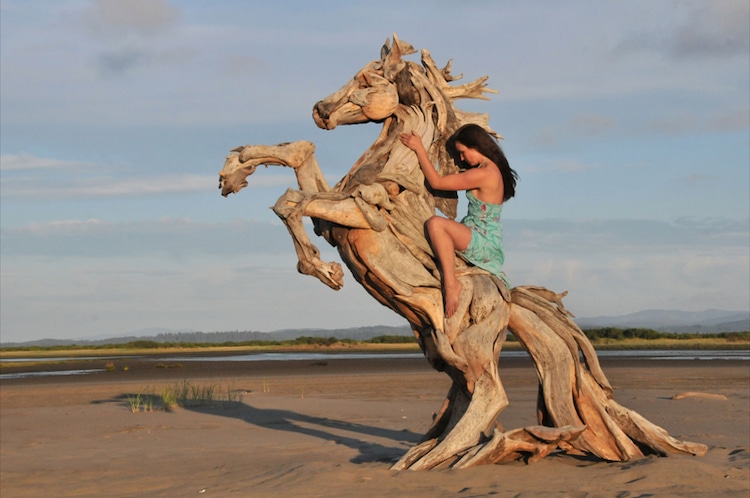 Artist Forages Driftwood For His Incredible Animal Sculptures