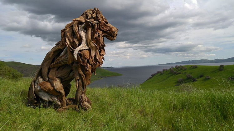 Driftwood Sculpture by Jeffro Uitto