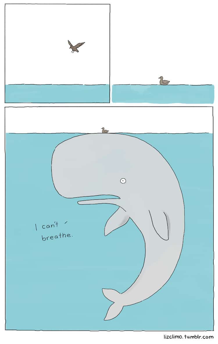 Liz Climo Animal Comics Illustration