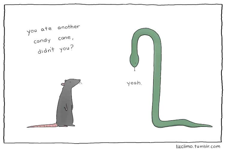 Liz Climo Animal Comics Illustration