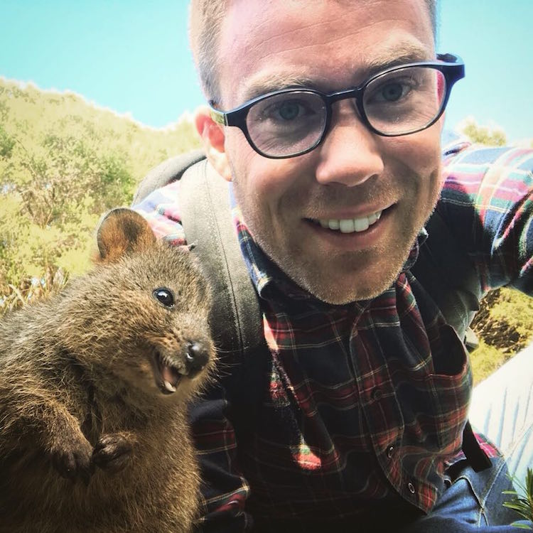 Quokka Selfie Quokkas