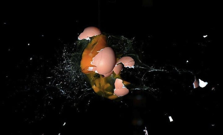 Egg