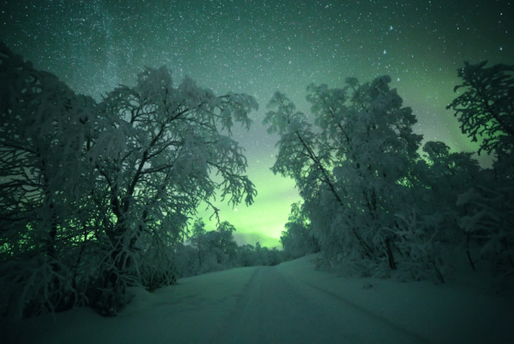 Tiina Törmänen finland winter