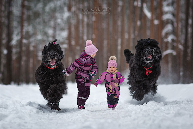 andy seliverstoff little kids big dogs