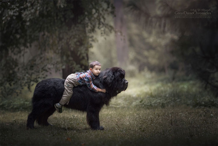 andy seliverstoff little kids big dogs