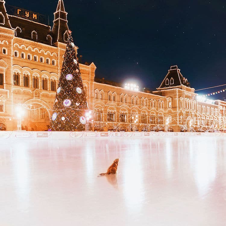 kristina keeva light snow moscow