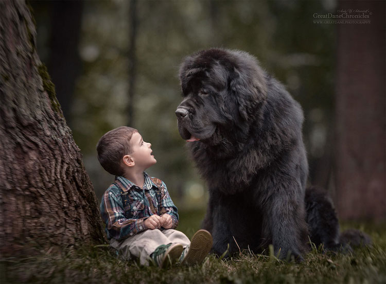 andy seliverstoff little kids big dogs