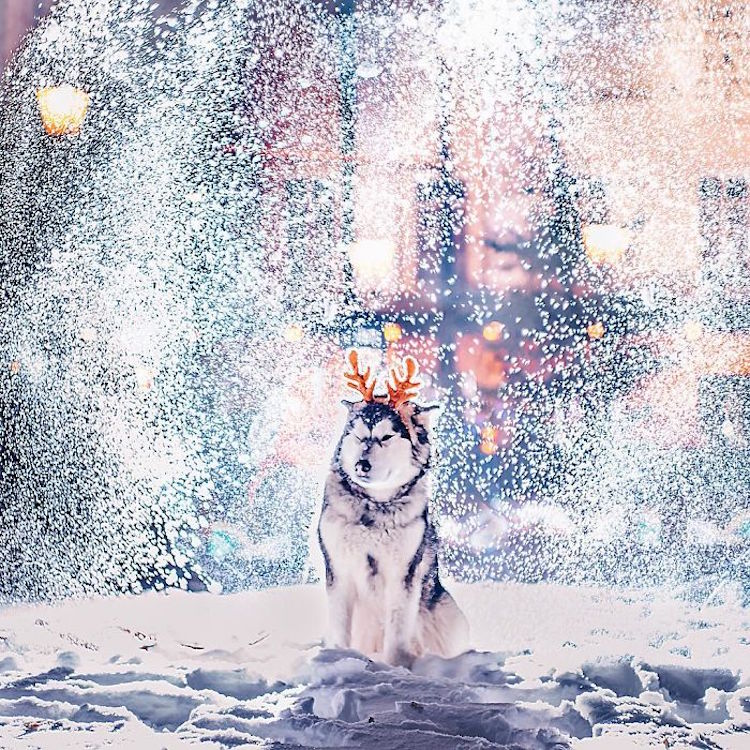 kristina keeva light snow moscow