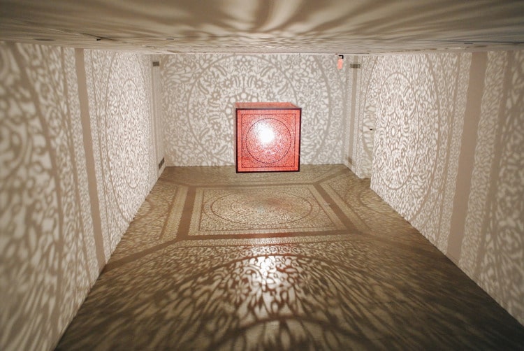 anila quayyum agha walking with my mothers shadow installation all the flowers are for me