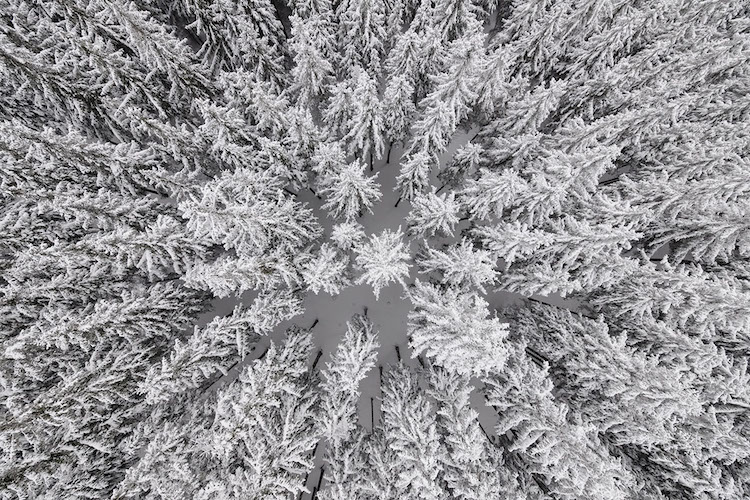 Kacper Kowalski aerial photography nature