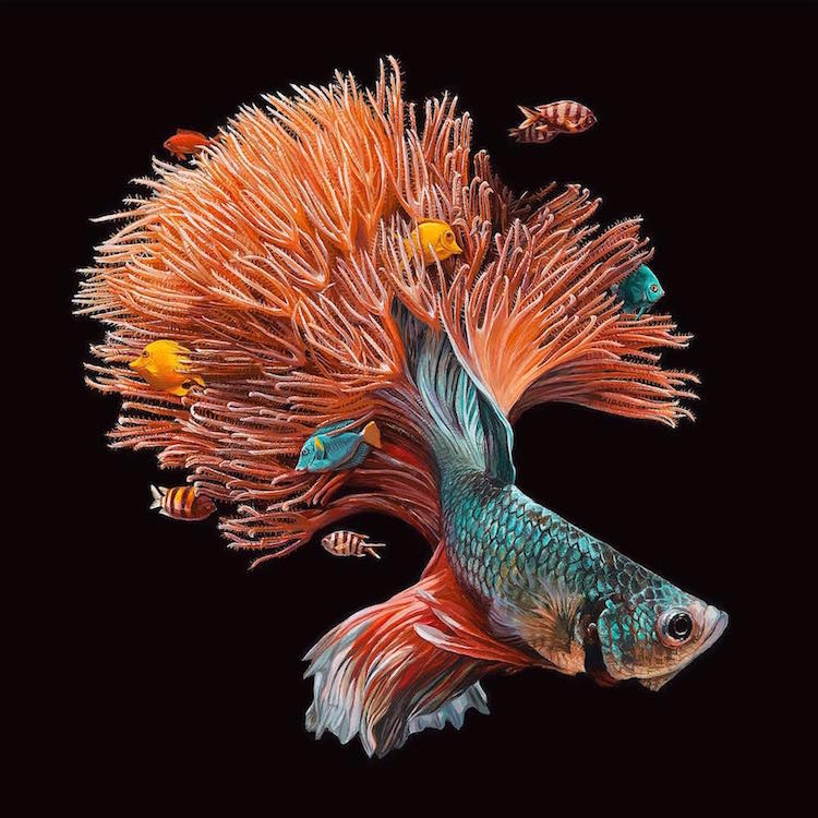 lisa ericson fish art painting