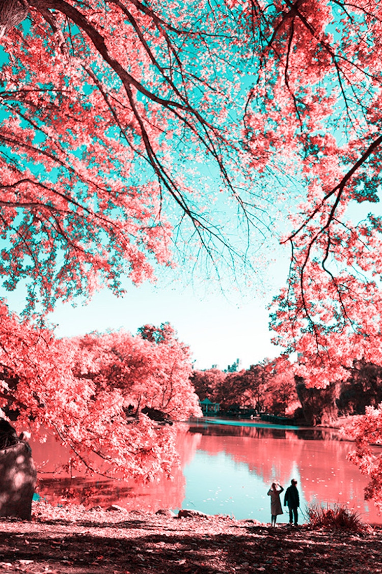 infrared photography central park paolo pettigiani