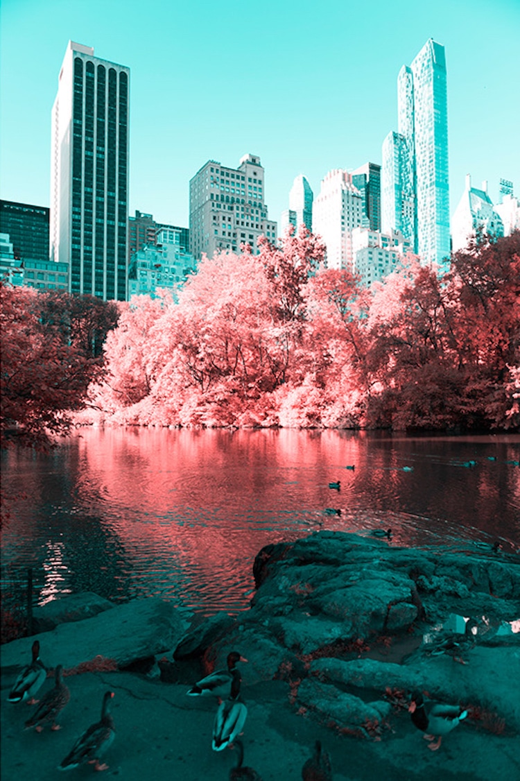 infrared photography central park paolo pettigiani