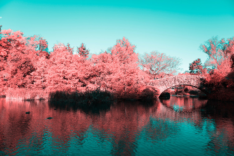 infrared photography new york paolo pettigiani