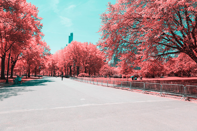 infrared photography new york paolo pettigiani