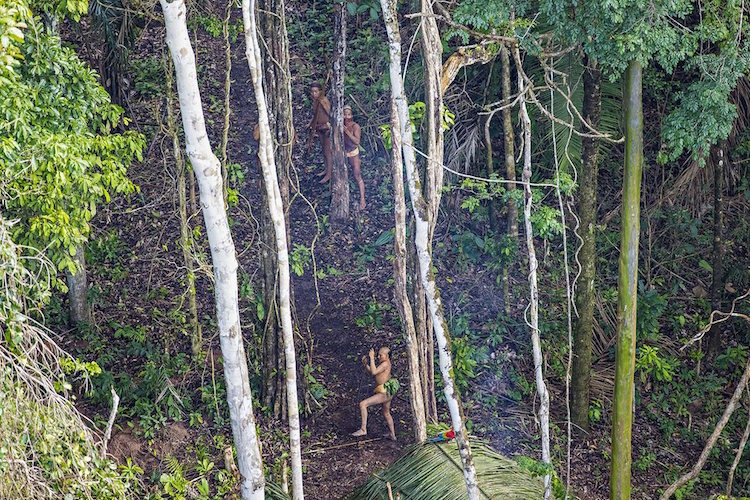 ricardo stuckert uncontacted tribe amazon brazil