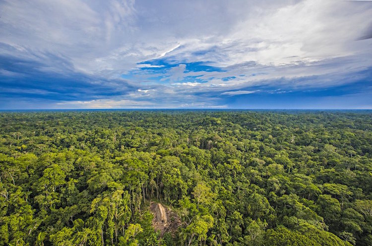 ricardo stuckert uncontacted tribe amazon brazil