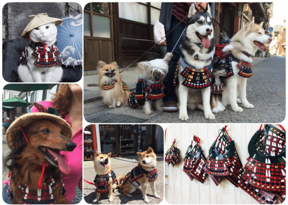 samuraipet3