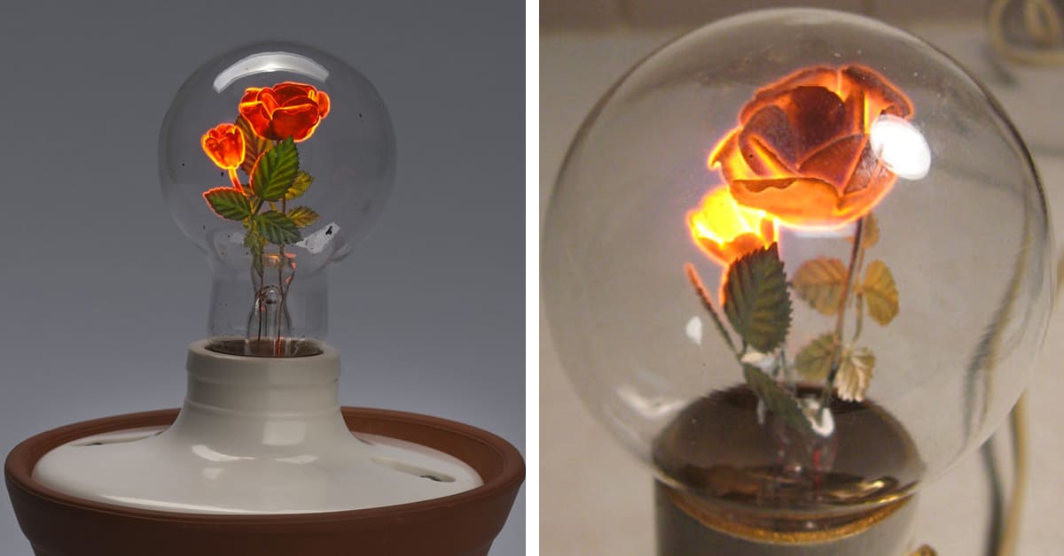 Aerolux Light Bulbs With Floral Filaments Add Beauty to Electricity